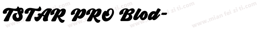 TSTAR PRO Blod字体转换